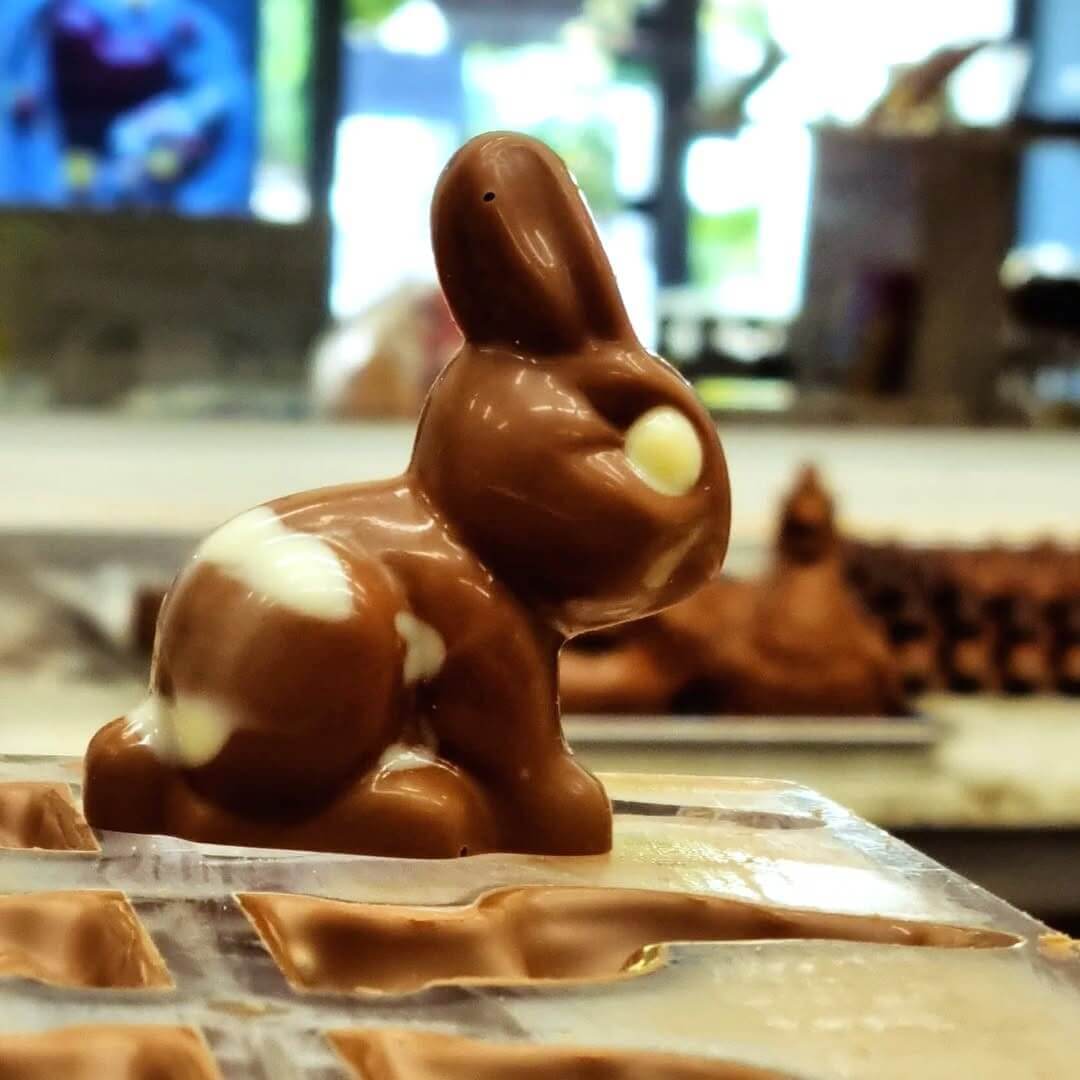 Chooclate Easter bunny